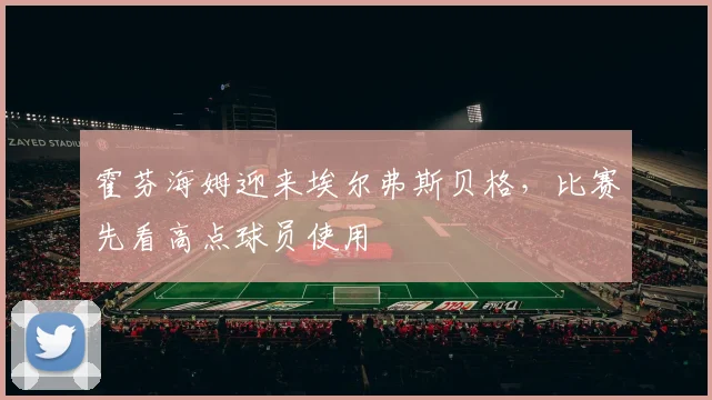 霍芬海姆迎来埃尔弗斯贝格，比赛先看高点球员使用