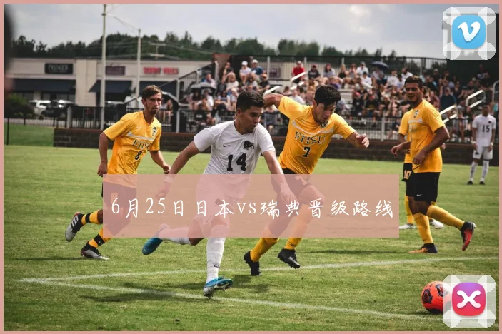 6月25日日本vs瑞典晋级路线
