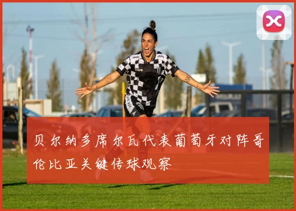 贝尔纳多席尔瓦代表葡萄牙对阵哥伦比亚关键传球观察