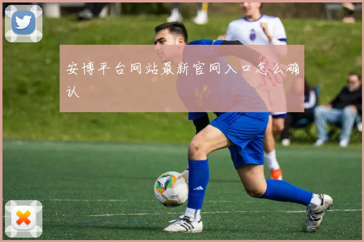 安博平台网站最新官网入口怎么确认